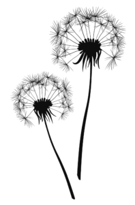 logo Pusteblumen-solo_Beata Torge